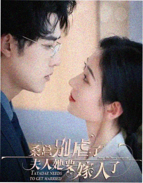 剧集片单校对记录配图
